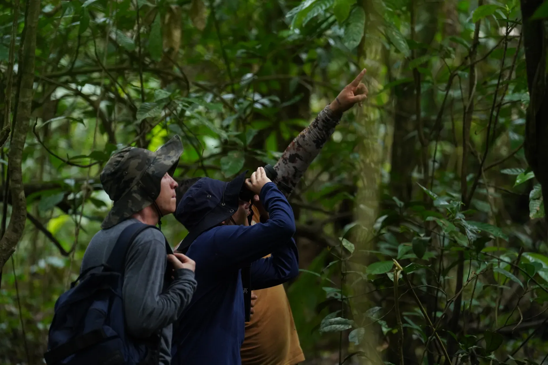 Travelers guided through the rainforest near Leticia and Zacambú | | Amazon Jungle Trips