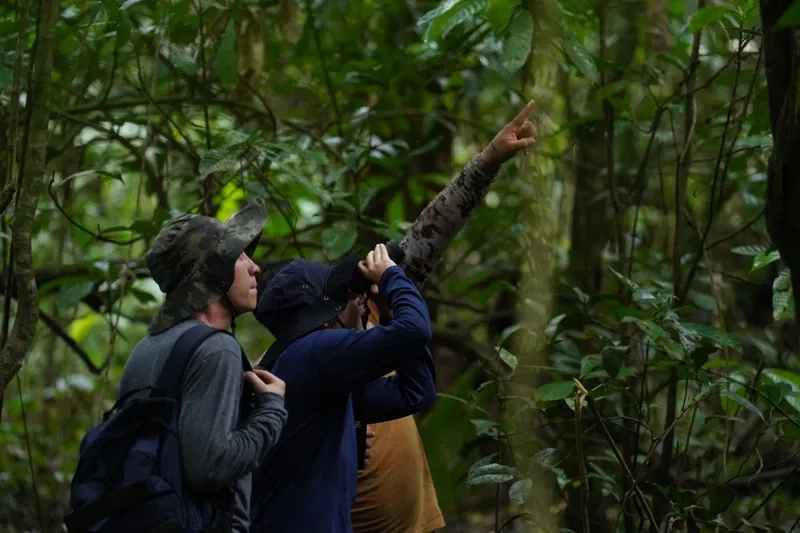 Amazon Discovery | Amazon Jungle Trips