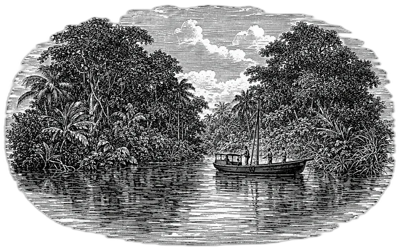 Amazon rainforest exploration engraving | Amazon Jungle Trips