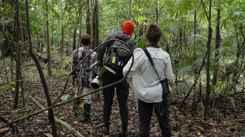 Amazon rainforest walk with local guide | Amazon Jungle Trips