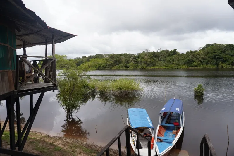 Boats in front of the ecolodge and rainforest on the lake | Amazon Jungle Trips