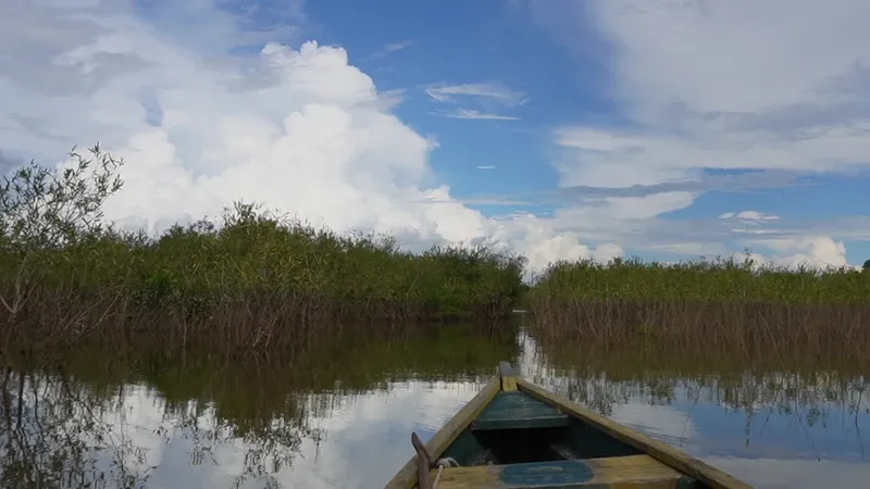 View of Lake Zacambú from the lodge surroundings | Amazon Jungle Trips